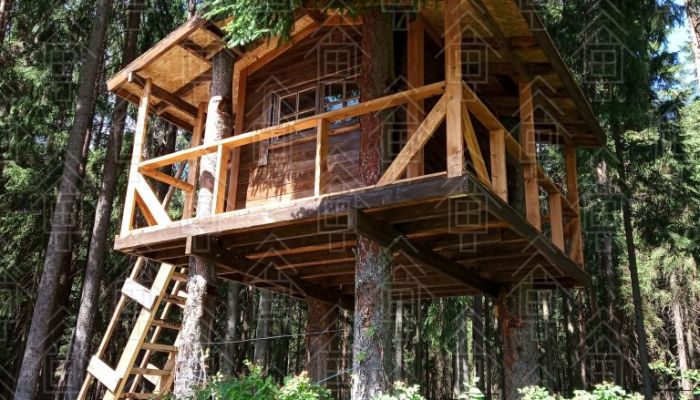 Проект "Ильичево"