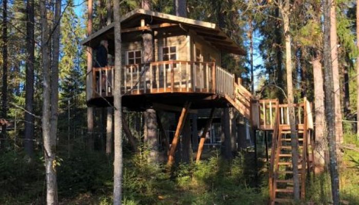 Проект "Рощино-1"