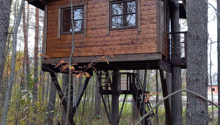 Проект "Новое Токсово"