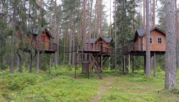 Проект "РепинскиеОзера"