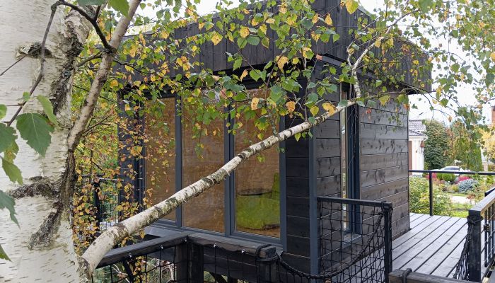 Проект "Монтевиль"